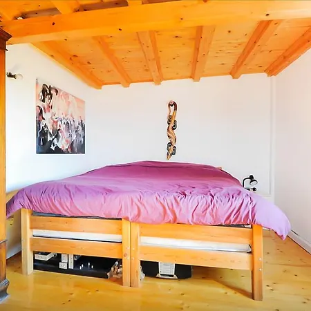 Torriano House Feriehus *