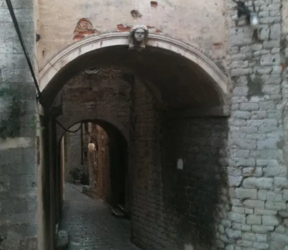 Torriano House Dom wakacyjny *