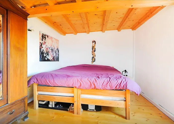 Torriano House Feriehus *